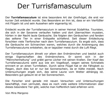 04-Der-Turrisfamasculum.jpg