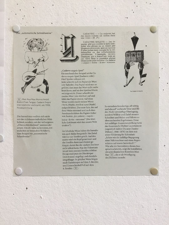 IMG 0207