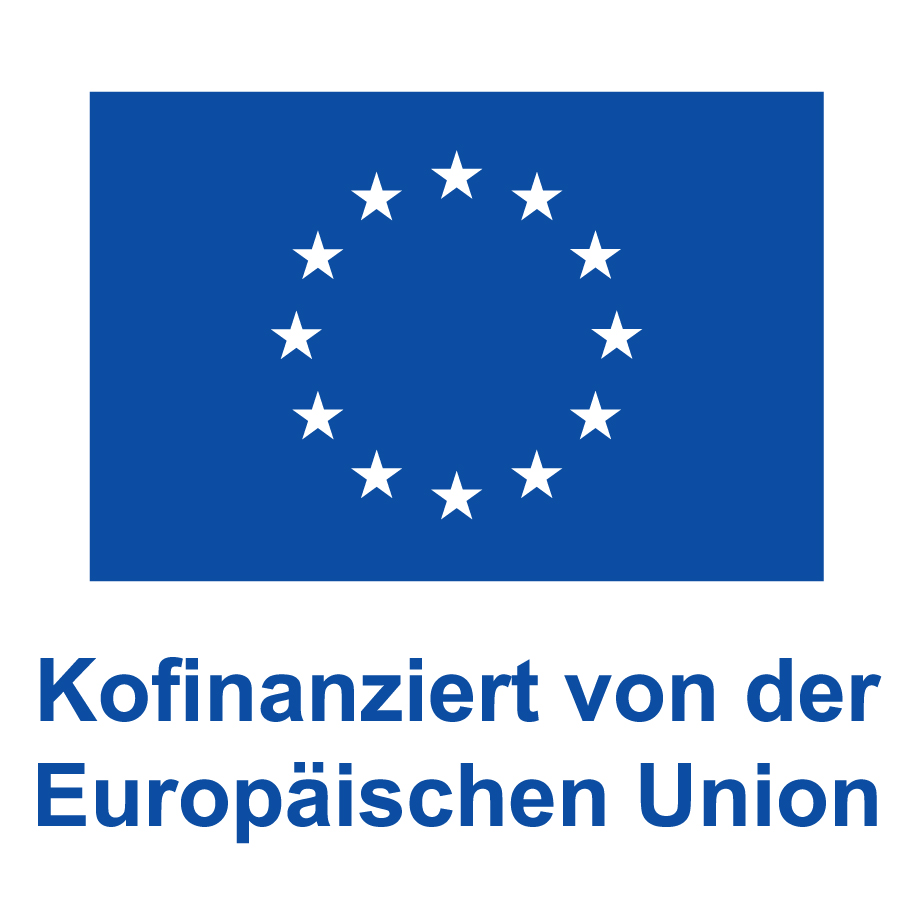 Logo V Kofinanziert von der Europaeischen Union Web blau