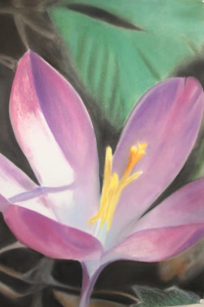 blume