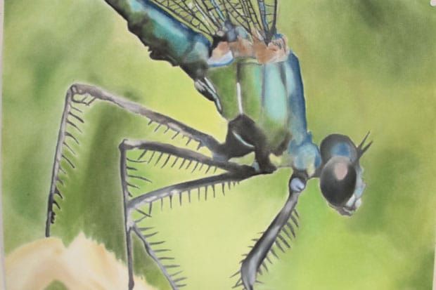libelle