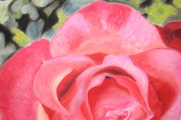 rose